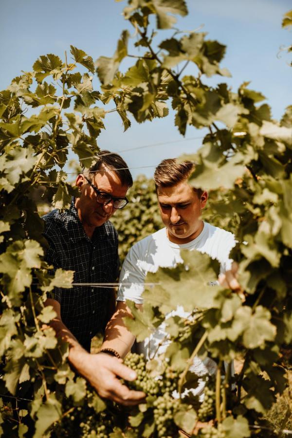 Kultur Weingut Kaestenburg Ratsch an der Weinstraße Eksteriør billede